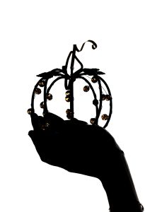 Studijske fotografije